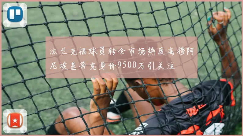 法兰克福球员转会市场热度高穆阿尼埃基蒂克身价9500万引关注