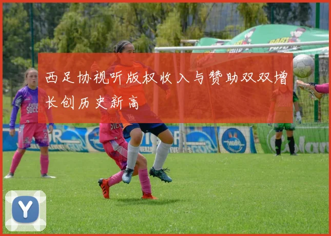 西足协视听版权收入与赞助双双增长创历史新高