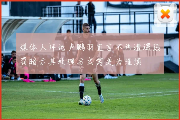 媒体人评论卢鹏羽直言不讳遭遇惩罚暗示其处理方式需更为谨慎